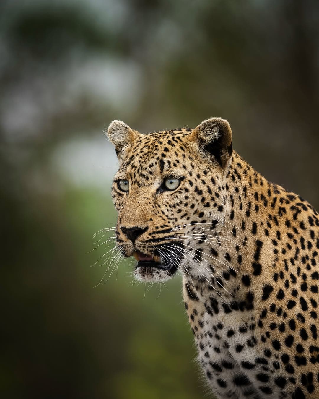 Contact Untamed Routes Africa