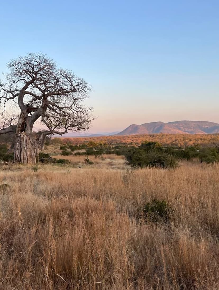 Nyerere safari photo