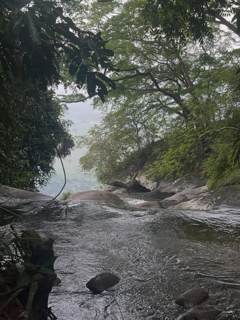 Udzungwa safari photo
