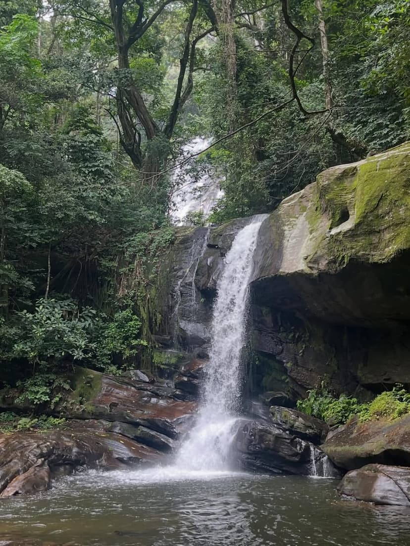 Udzungwa safari photo