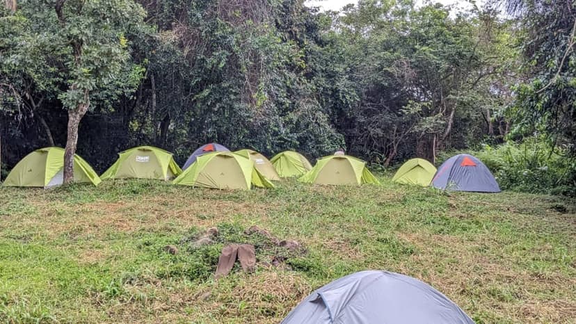 Udzungwa safari photo