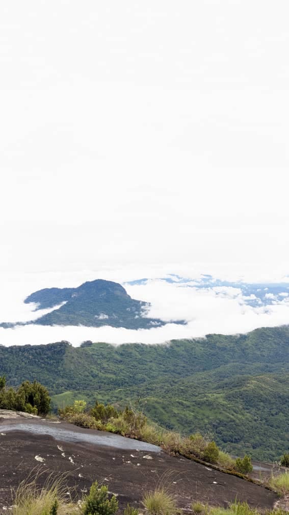 A First-Timer's Guide to Hiking in Udzungwa Mountains